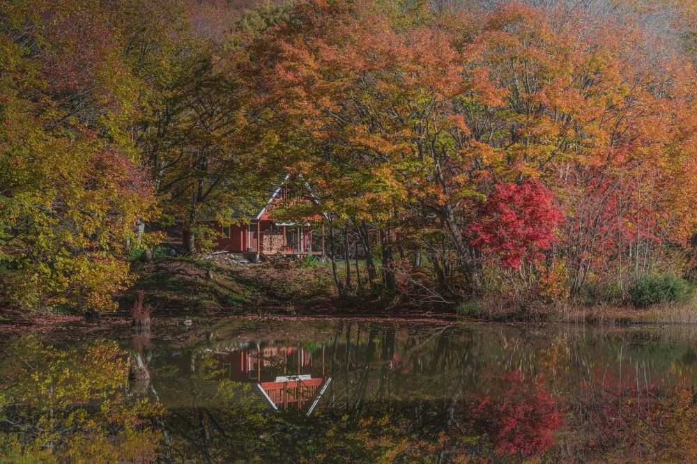 Photograph by Kaneko Atsushi