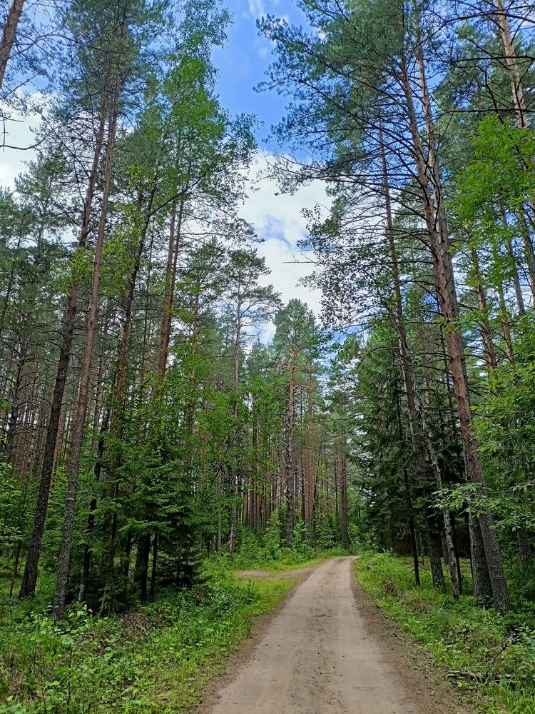 Photograph by Олеся Евсеенко