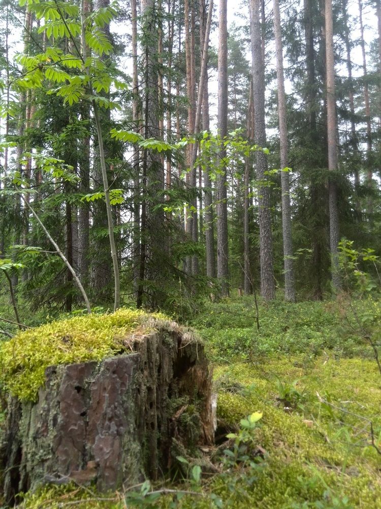 Photograph by Олеся Евсеенко