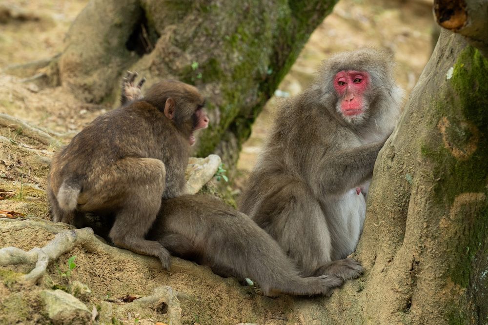 Photograph by Лейла Матар