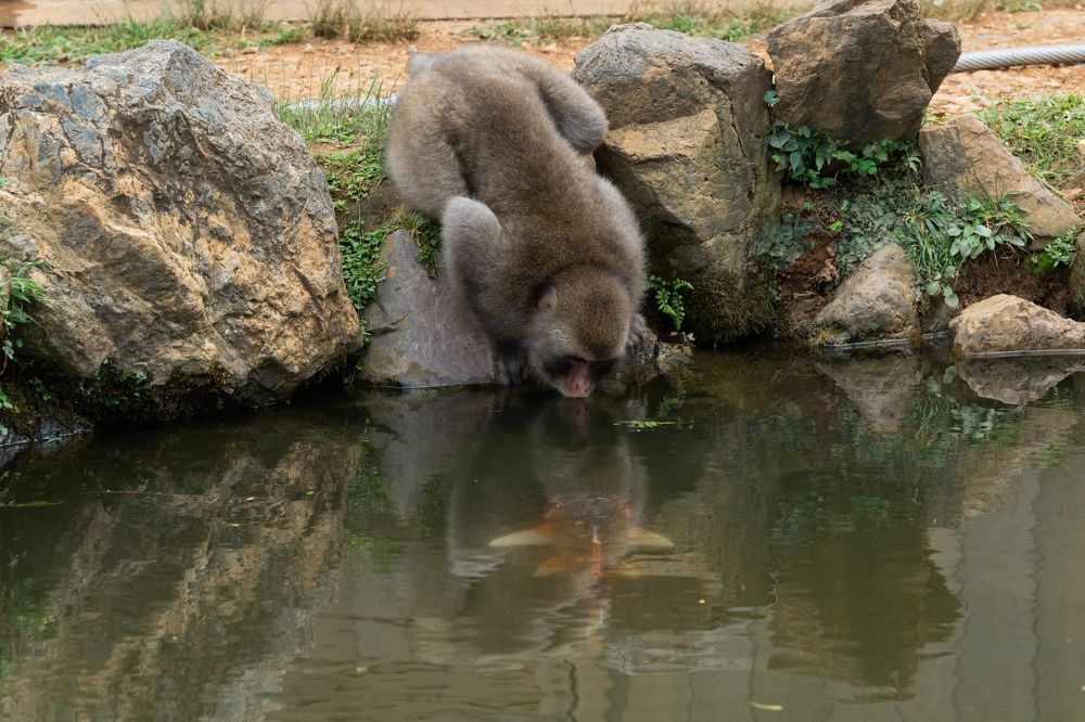 Photograph by Лейла Матар