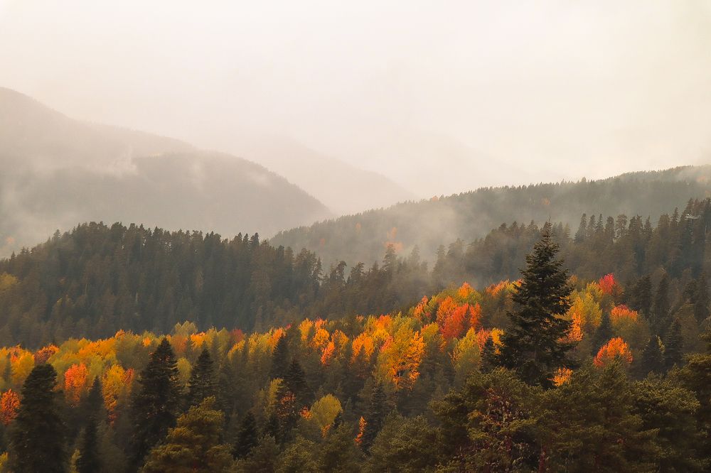 Photograph by Anastasia Kopylova