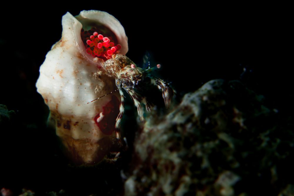 Photograph by Santiago Estrada R