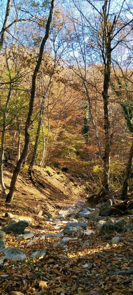 Photograph by Татьяна Стаскевич