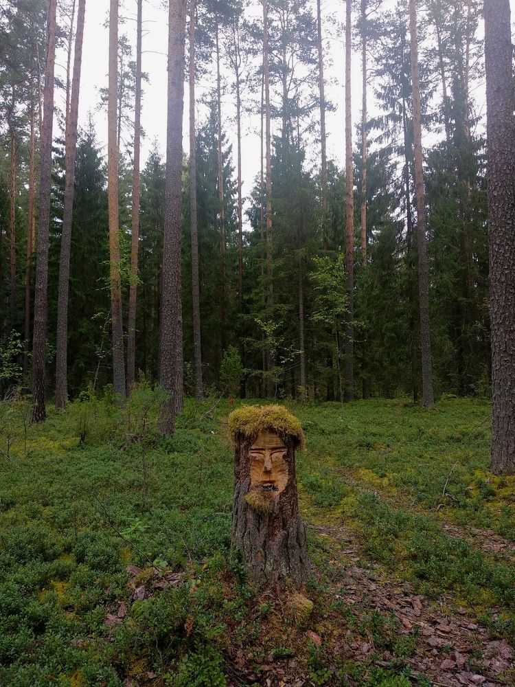 Photograph by Олеся Евсеенко