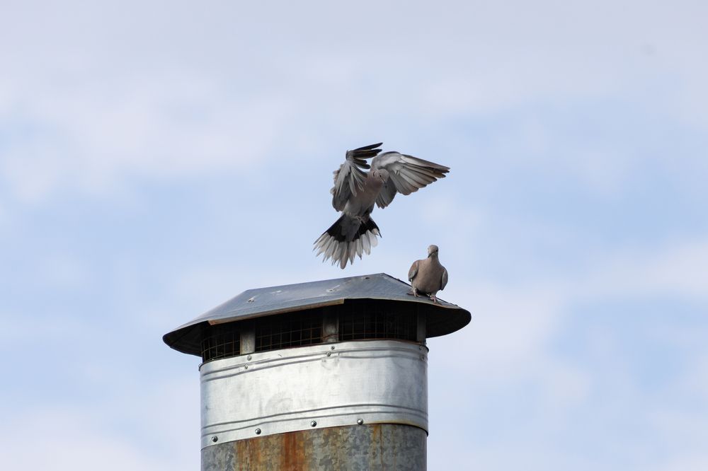 Photograph by Андрей Соловьянов