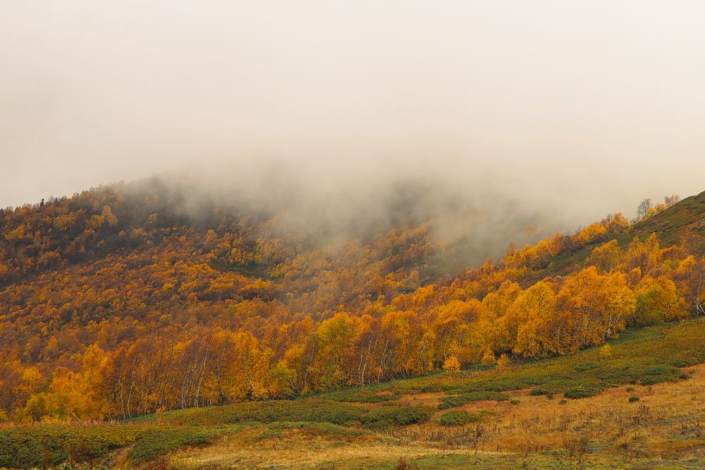 Photograph by Anastasia Kopylova