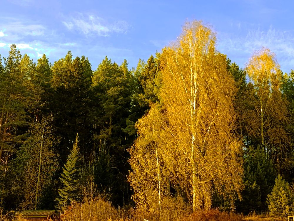 Осенний наряд