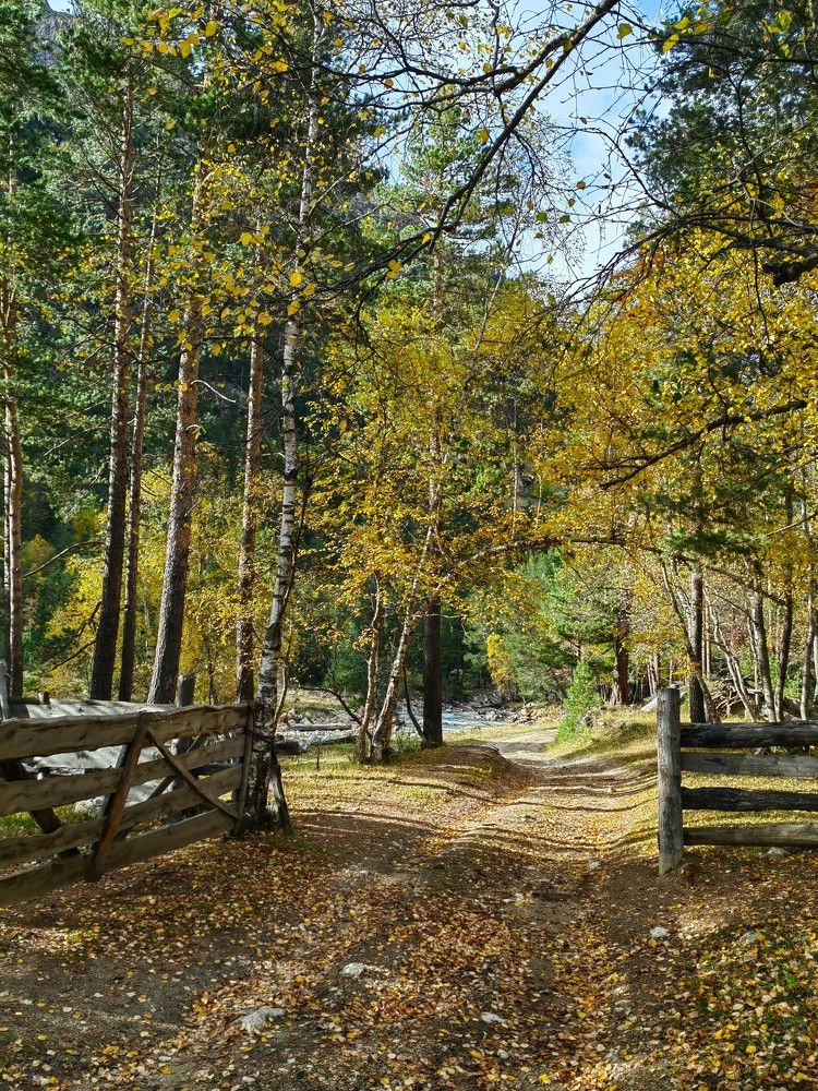 Photograph by Чкареули Светлана