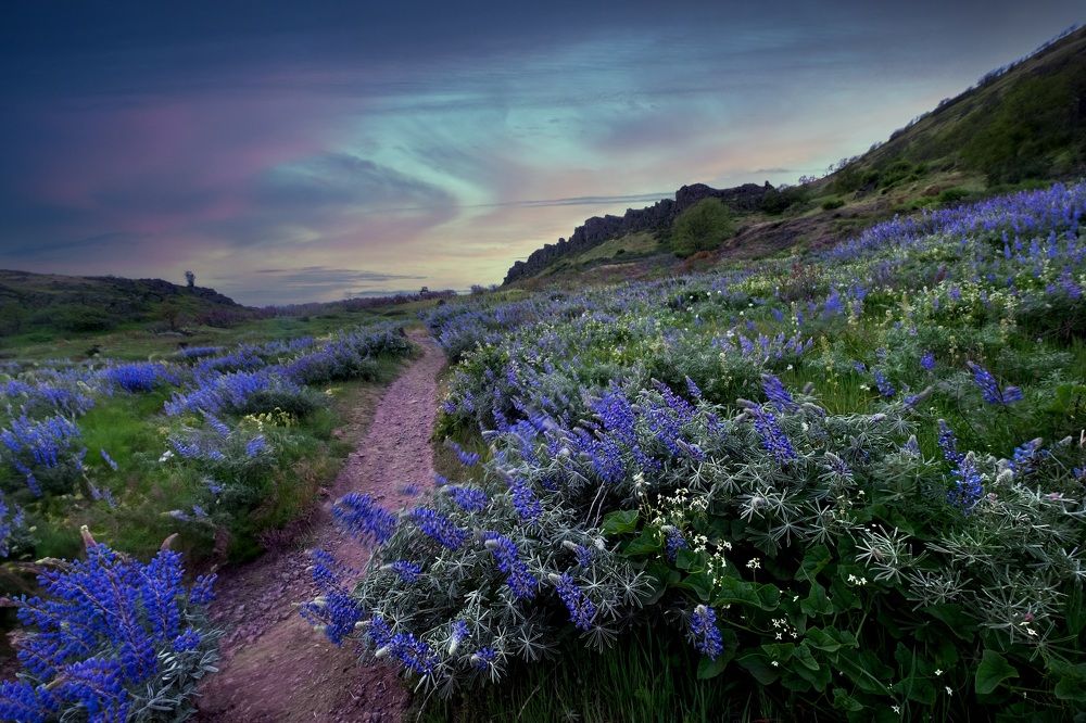 Photograph by Marina Poushkina