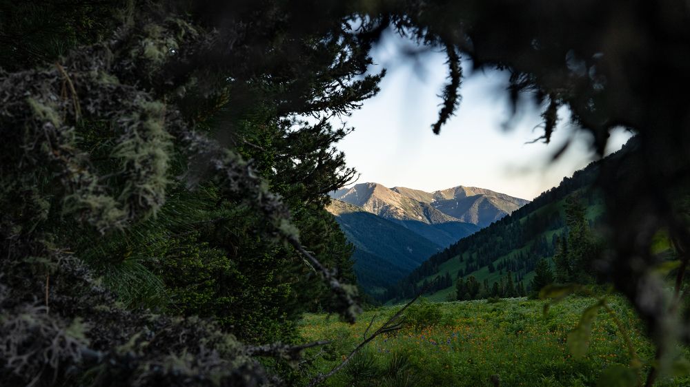 Photograph by Дмитрий Лоскутов