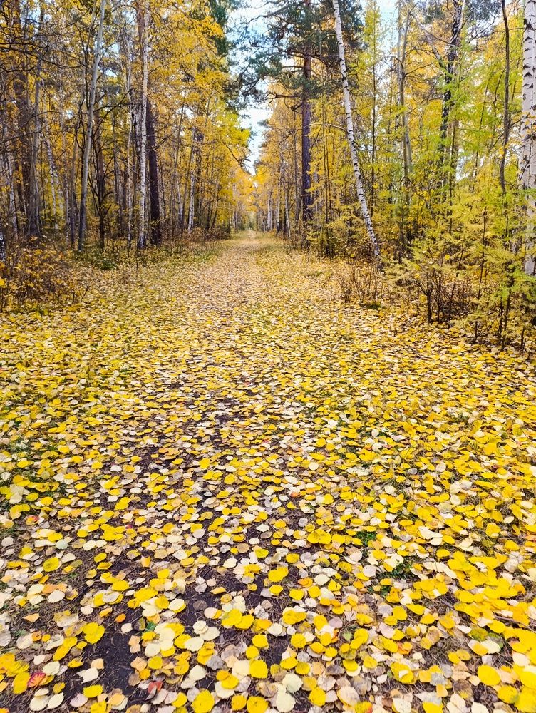 Photograph by Елена Шишкина