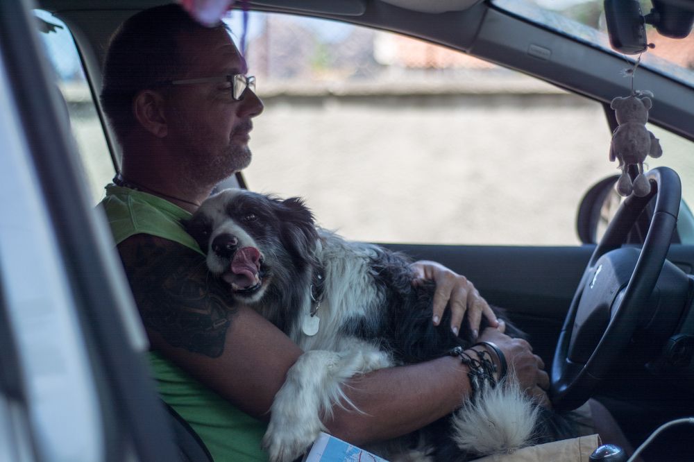 Фотография автора Chorche Prigo