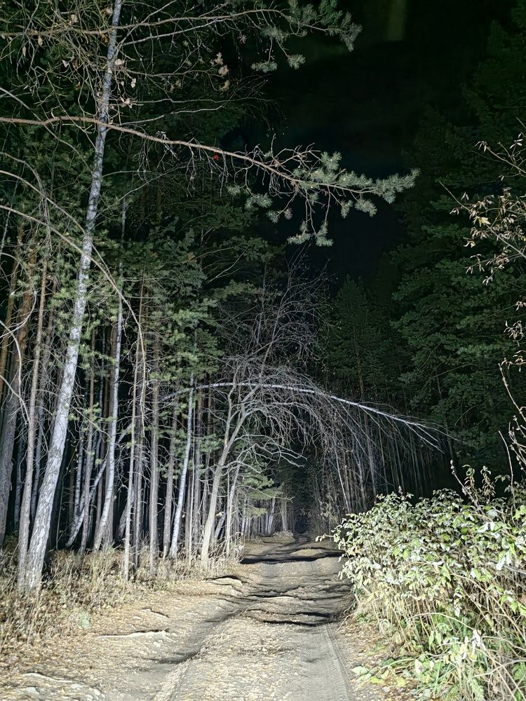 Photograph by Чкареули Светлана