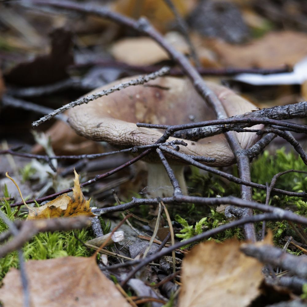 Photograph by Alexandr Seleznev