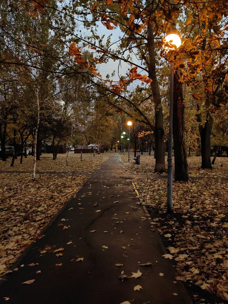 Photograph by Екатерина