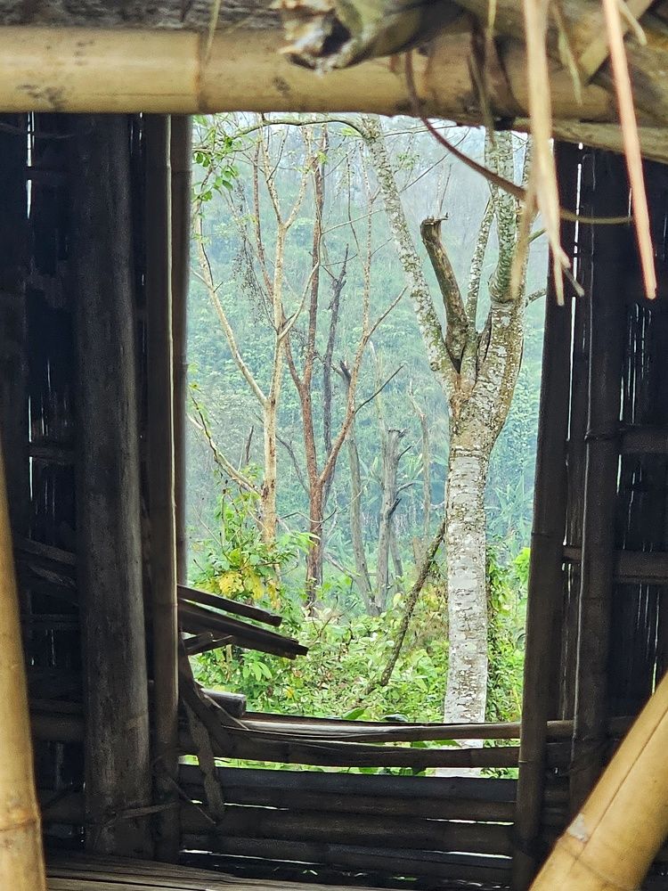 Photograph by SRIMANTA RAY