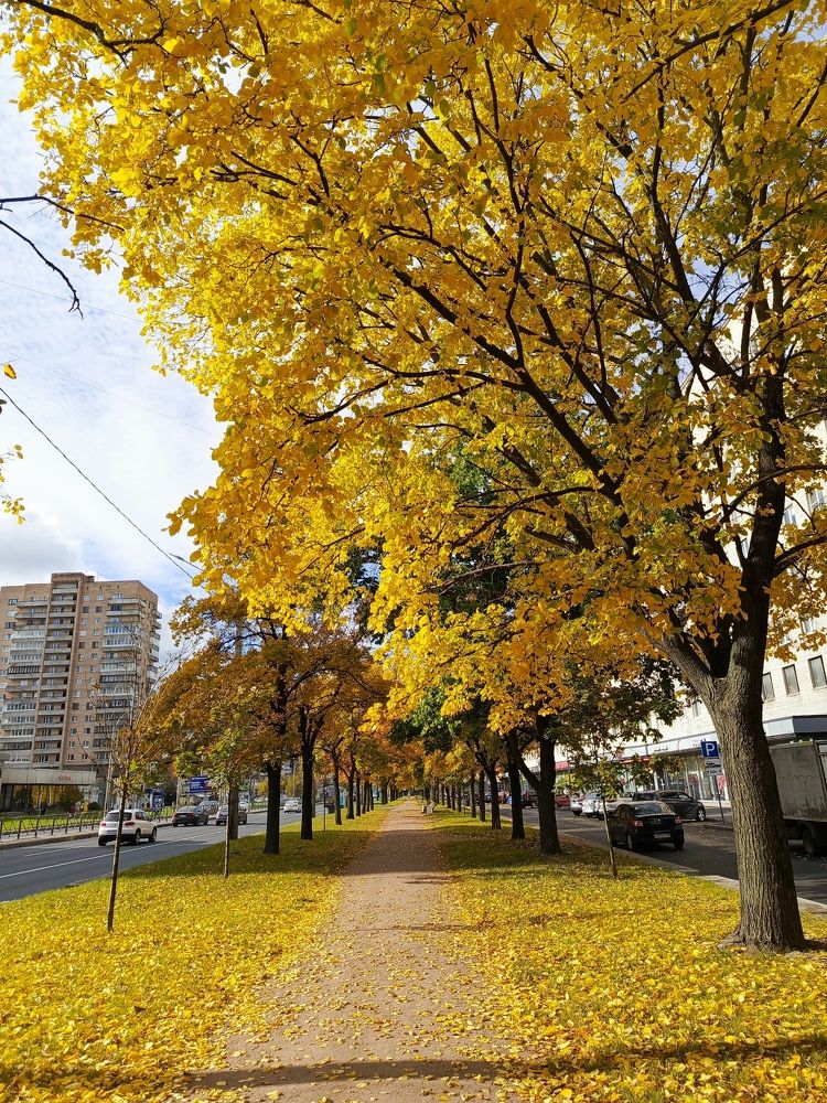 Photograph by Татьяна Пальчикова