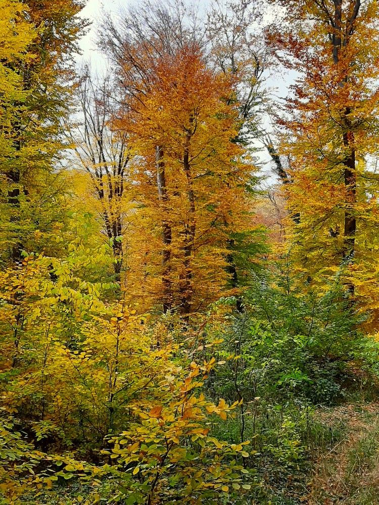 Photograph by Галина Глазкова