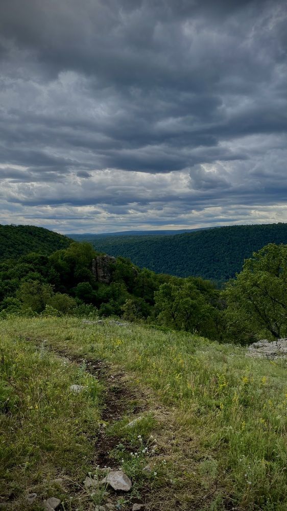 Photograph by Наталья Богаткина