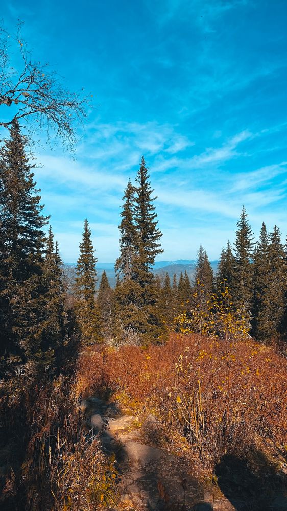 Photograph by Наталья Богаткина