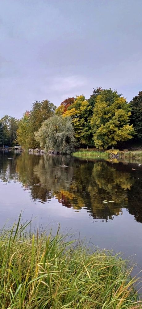 Photograph by Надежда