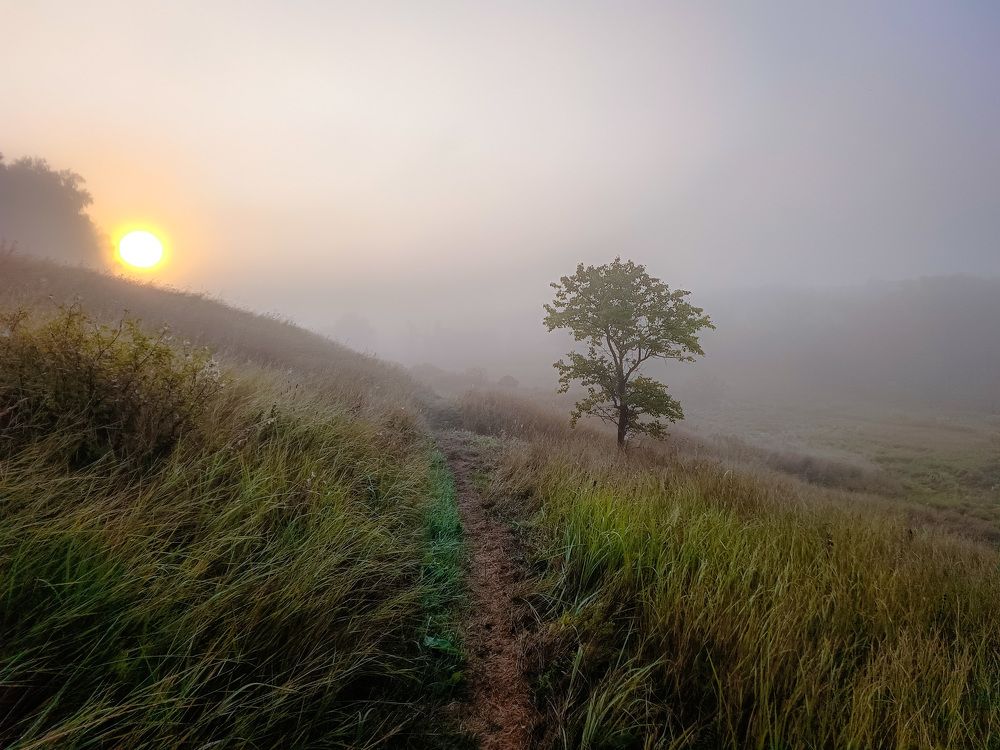 Photograph by Кондрашова Светлана