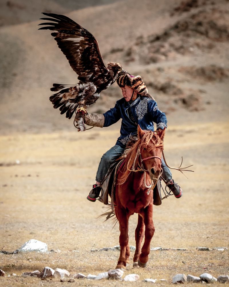 Sagsai Golden Eagle Festival, Mongolia/