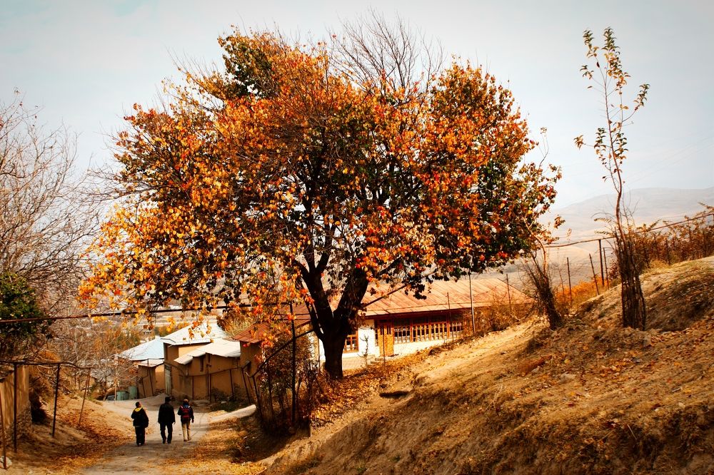 Photograph by Владимир Ким