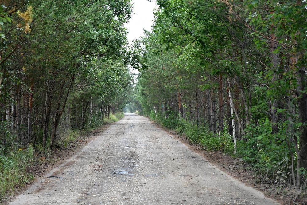 Фотография автора Сергей Чесноков