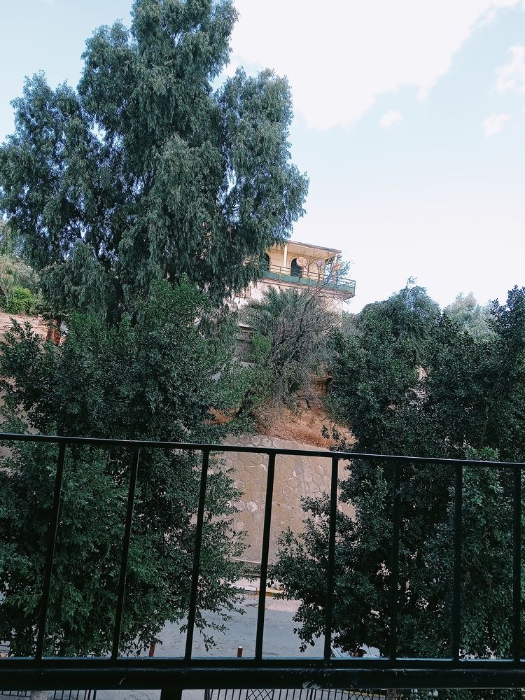 Photograph by Ghada Guertal