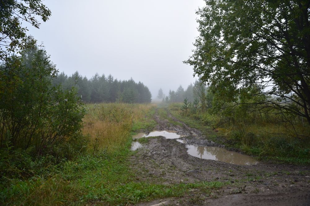 Фотография автора Сергей Чесноков