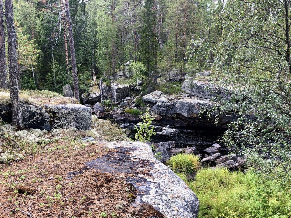 Photograph by ЮЛИЯ СУЛИМОВА