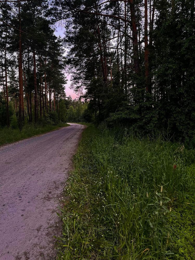 Photograph by Анна Пигулевская