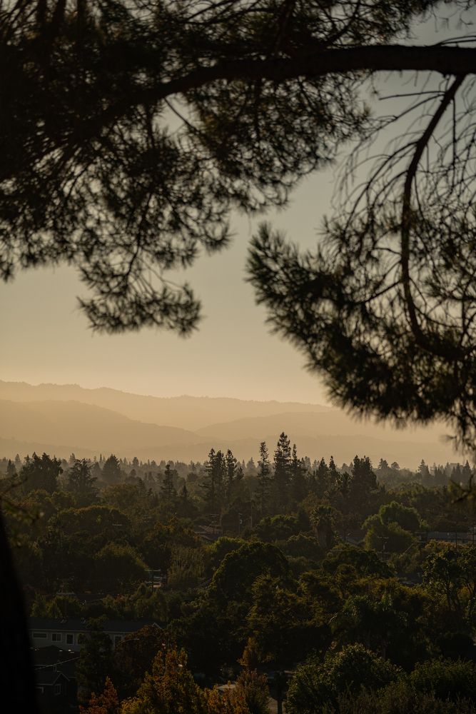 Photograph by Anna Vlasova