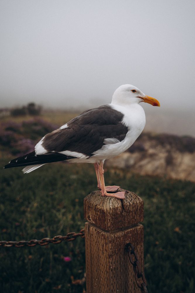 Photograph by Anna Vlasova