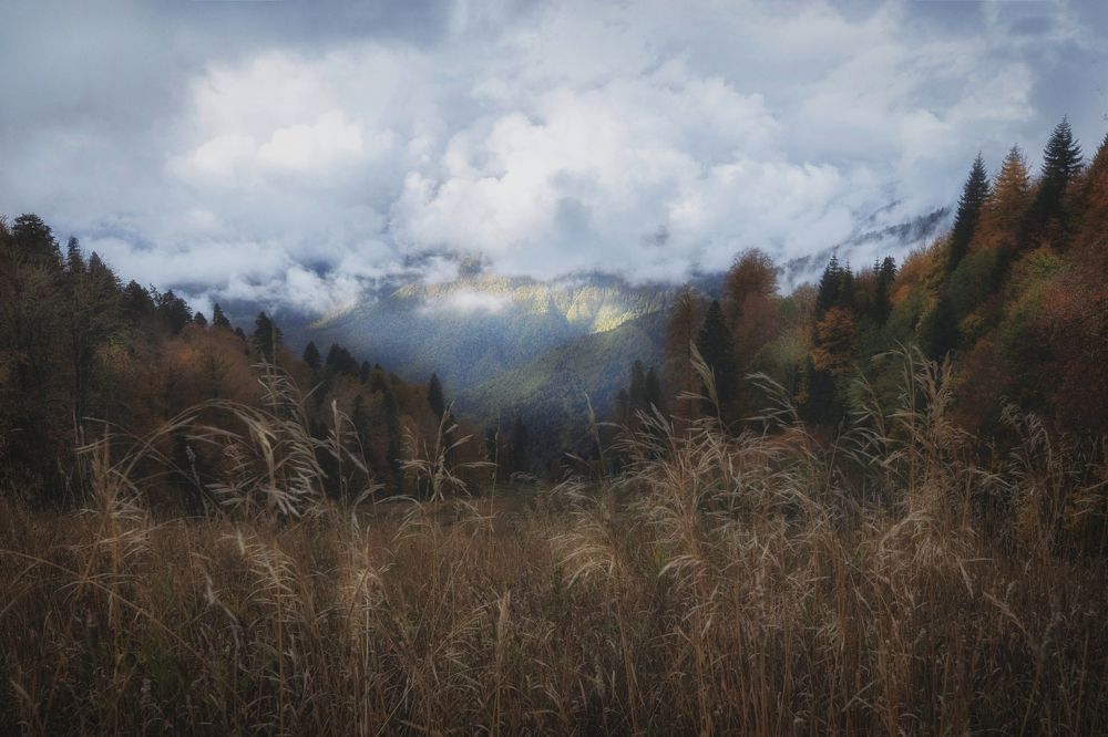 Photograph by ОЛЬГА КОВАЛЁВА