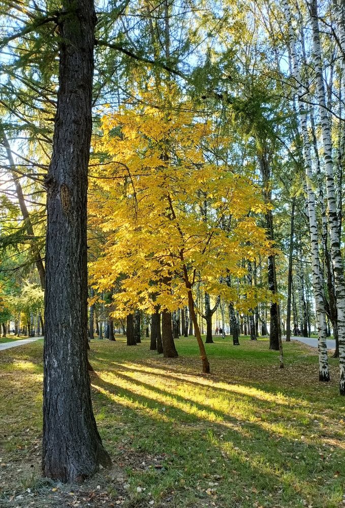 Фотография автора Татьяна Лука