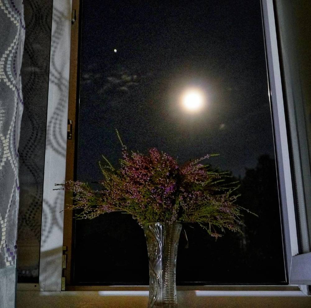 Photograph by Марина Безенкина