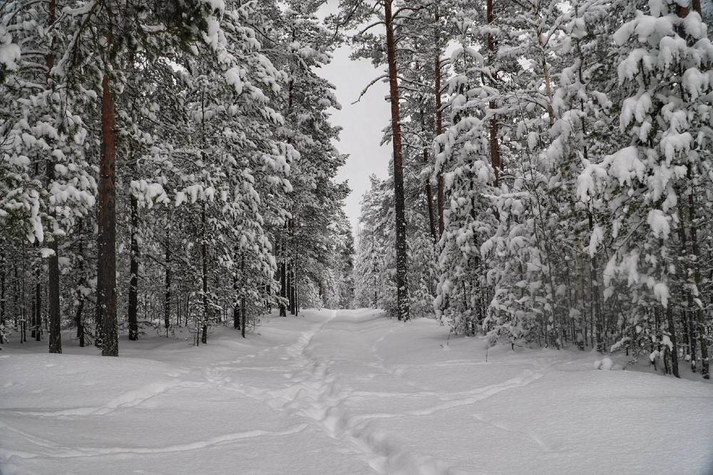 Photograph by Марина Безенкина