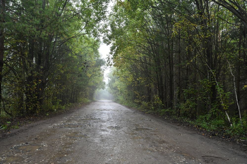 Фотография автора Сергей Чесноков