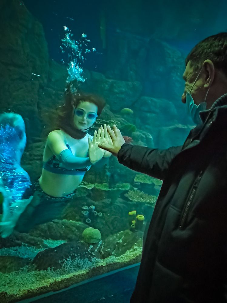 Photograph by Анопченко Ирина