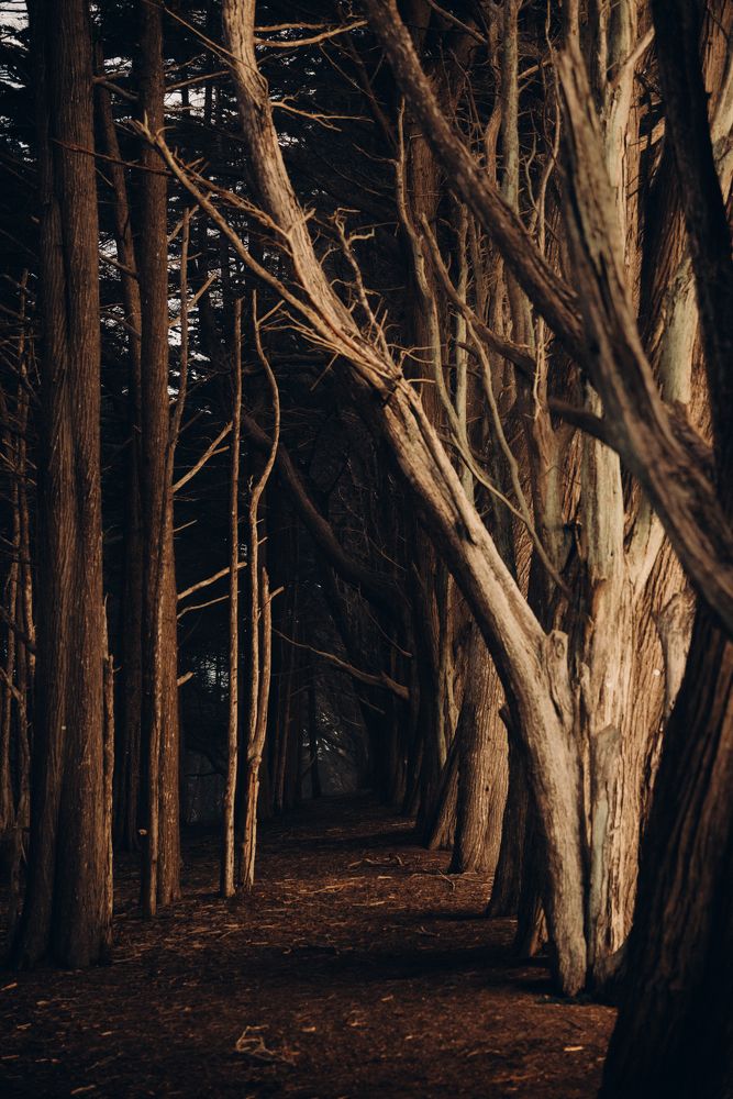 Photograph by Anna Vlasova