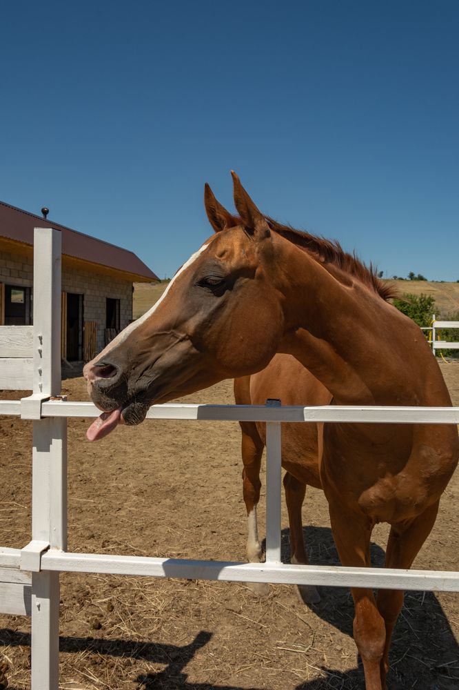 Photograph by Ольга Салтыкова