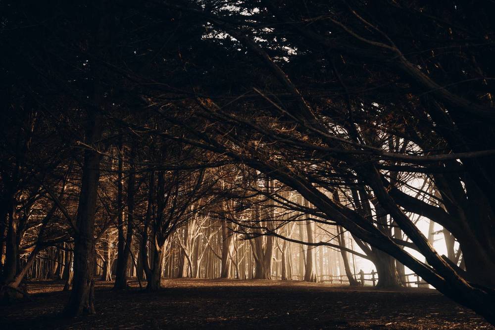 Photograph by Anna Vlasova