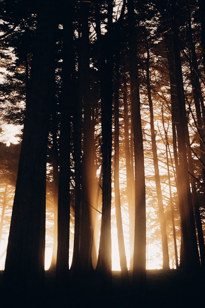 Photograph by Anna Vlasova