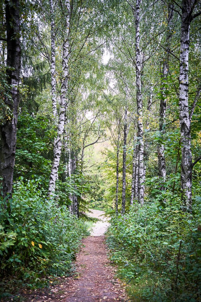 Photograph by Кристина Присакарь