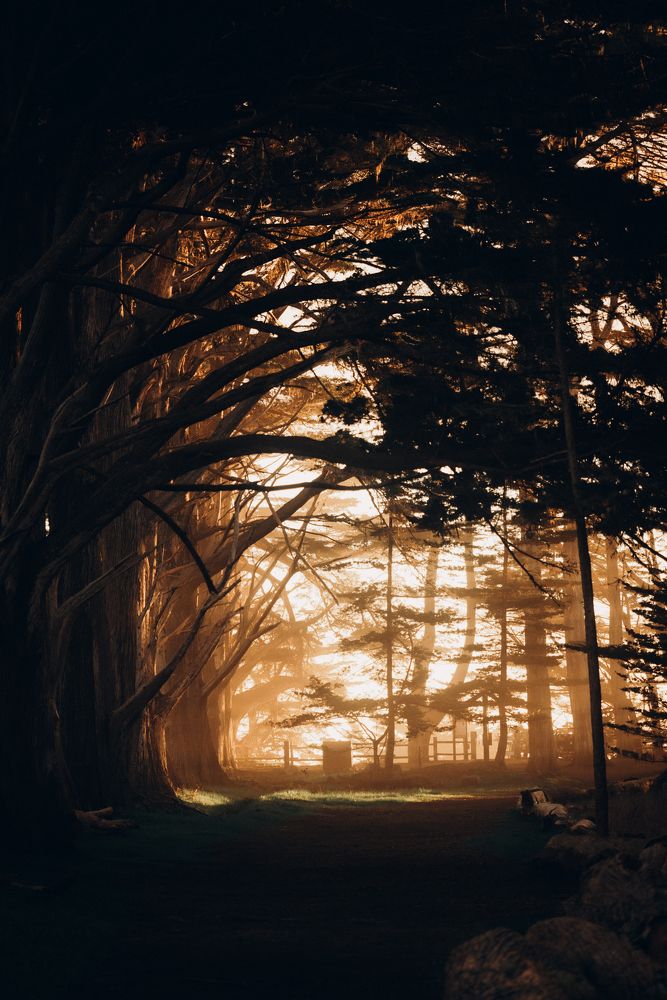 Photograph by Anna Vlasova