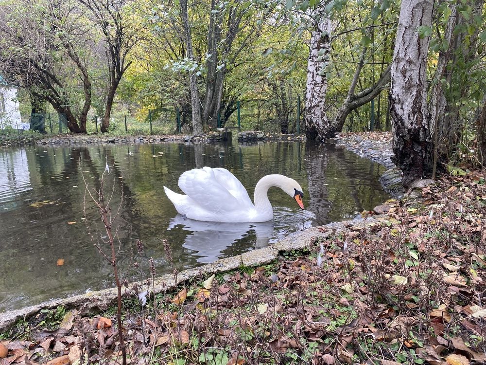 Photograph by Ангелина Марушко