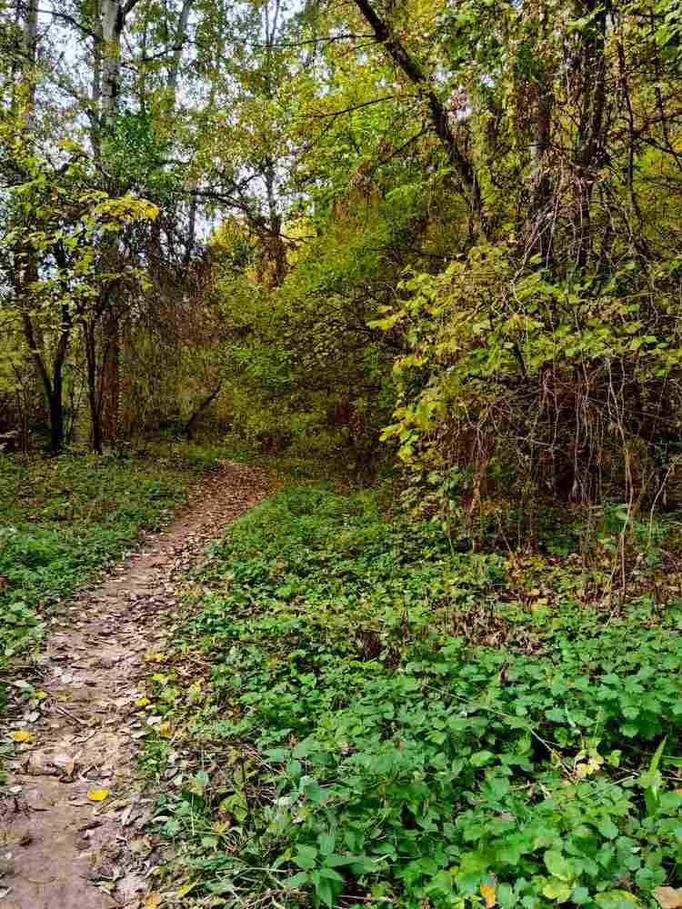 Photograph by Татьяна Солтан